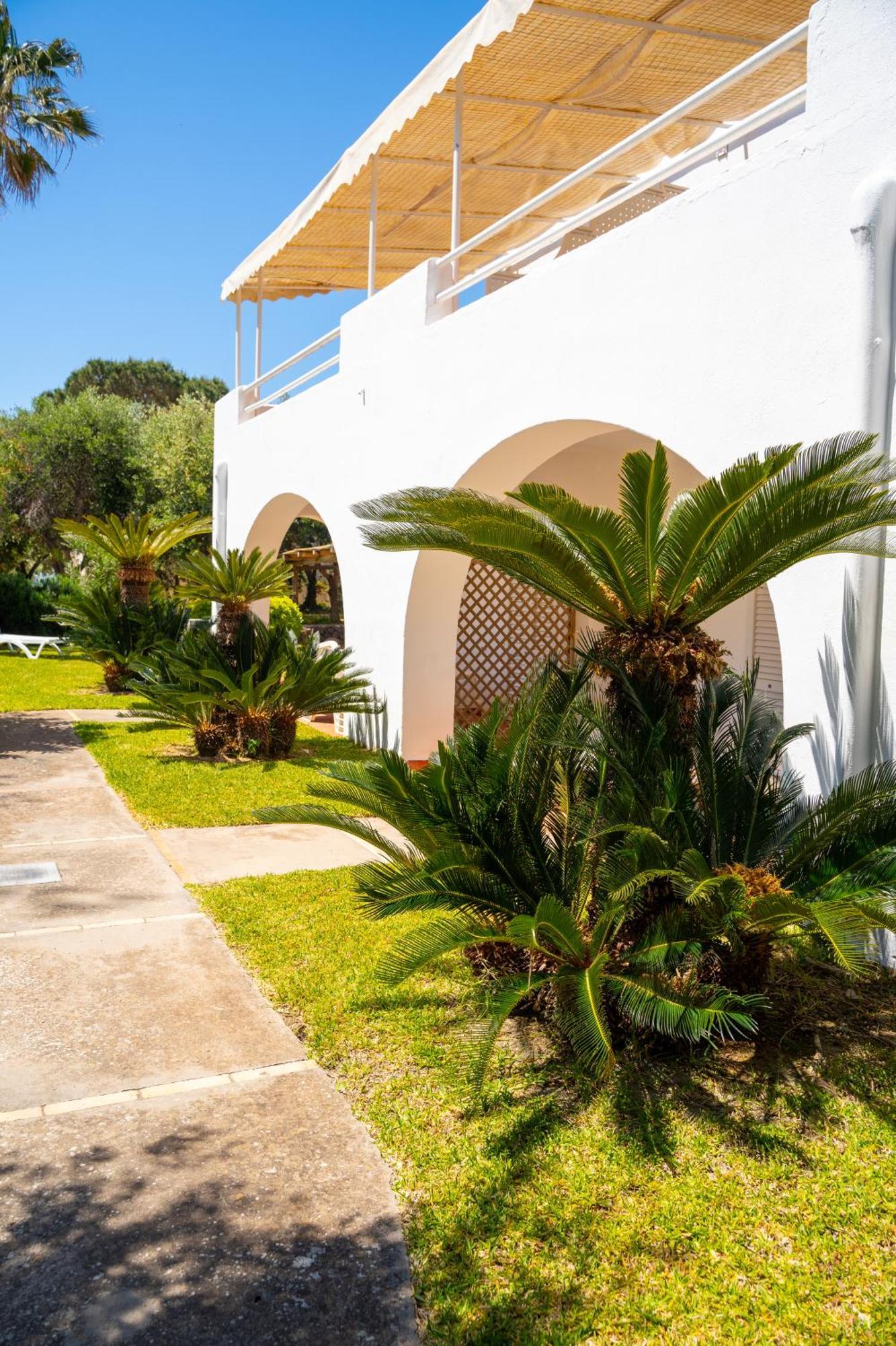 Residence Palummera Ischia Eksteriør bilde